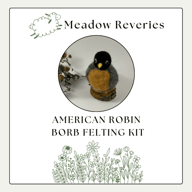 A needle felted American robin is in a center circular inset. Above, the brand name Meadow Reveries with a cartoon leaping sheep. Below, AMERICAN ROBIN BORB FELTING KIT. At the bottom, decorative cartoon wildflowers.
